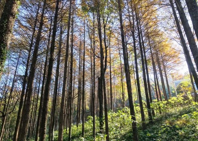 高光频现，火爆出圈！就在巢湖这里…