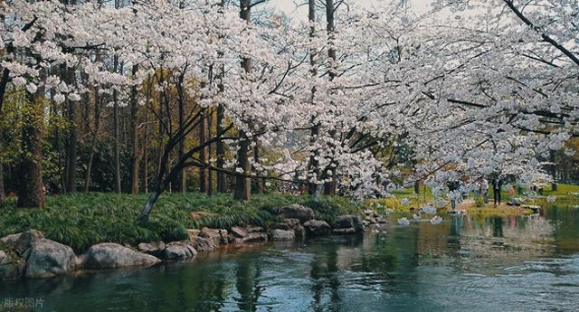 3月4月，10处绝佳踏春地，寻春踏青安排起来