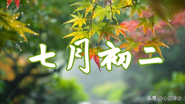 “初一没有初二灵，最怕初二雨淋淋” 今日七月初二下雨有啥说法？