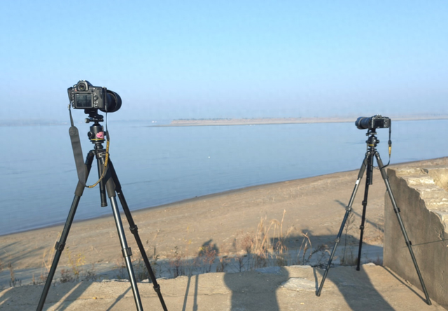 候鸟栖息铁锚洲 十年禁渔成美景