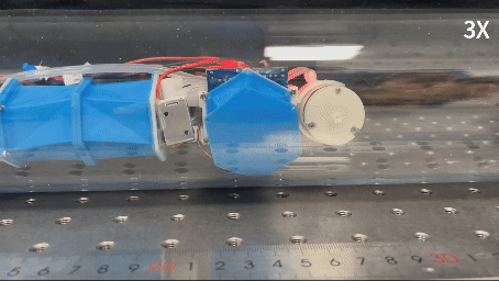 密歇根大学×上海交大联合研发SPARC，突破软体机器人天花板！