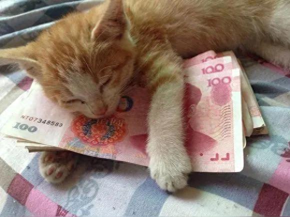 下个月,这仨星座要“开挂”了!数钱数到手抽筋,爱情事业双丰收