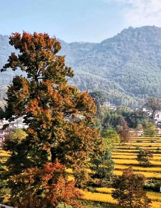 “董”与“徽”带火的皖南秘境，宣城的诗与烟火藏不住了！