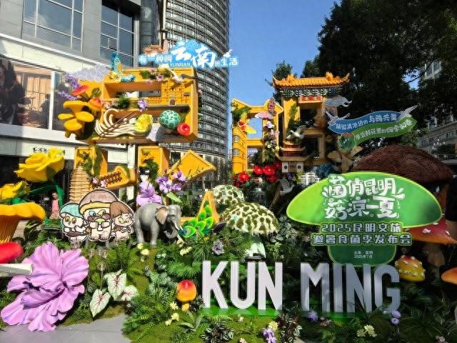 发布会｜这个夏天，昆明邀你来避暑吃菌啦