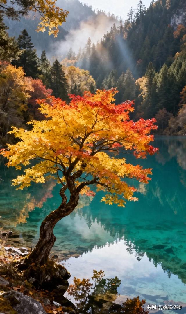 一湖秋水映长天，满眼秋色入画来