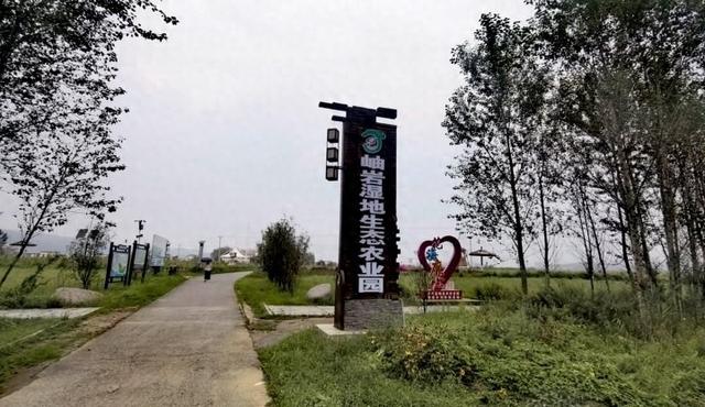 记者在一线丨秋日风景上线！岫岩生态湿地公园非洲菊绽放