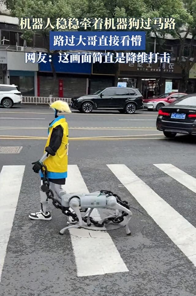 机器人牵机器狗遛弯惊呆路人， 未来智能生活已悄然来到身边