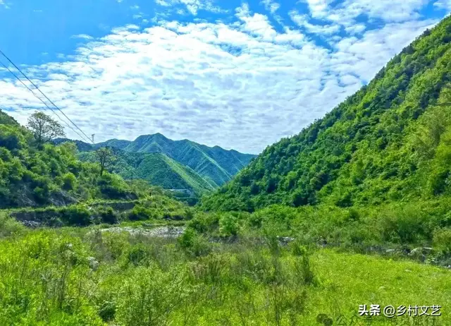 漫行青坪