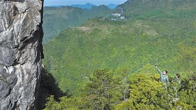 生物优化学案（从濒临灭绝到扎根17省份）