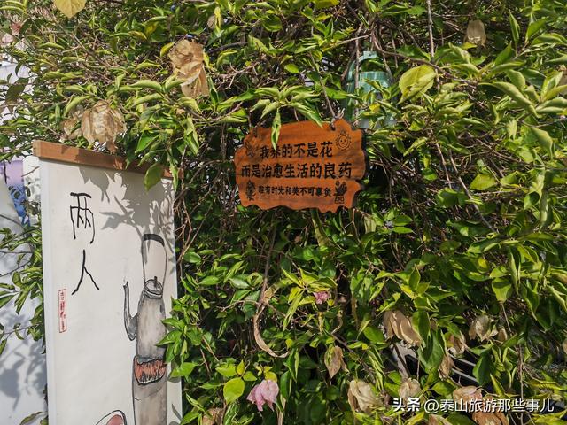 泰安：城东山腰间藏了个神仙小院，步步是景，处处藏趣