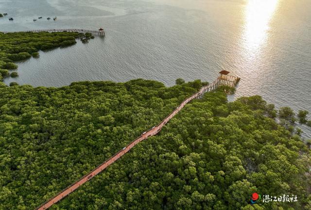 “三张名片”尽展湛式生态美学