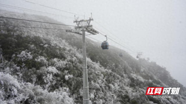 组图 | 宜章莽山：冬日雾凇美出圈