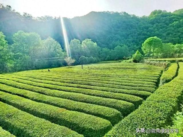 你见过怎样的康县？