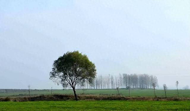 象河乡有两个宝藏游玩地，每一个都值得奔赴~