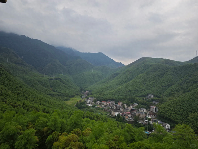 网红避暑胜地安吉：外地游客被坑惨，本地人却说你们去错了地方？