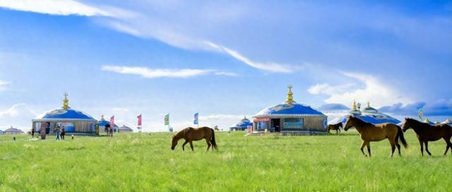 124家PK119家：2025年文旅“升A添星”全景图