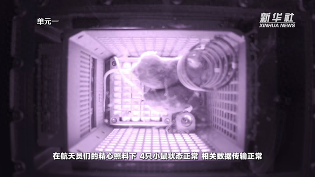 鼠鼠我啊上太空啦：小鼠“航天员”上太空科普及镜头公布