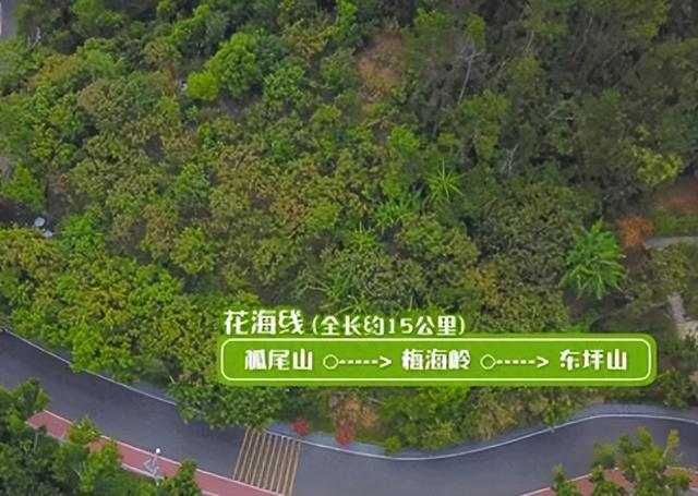 厦门山海健康步道花海线，起于狐尾山，终于东坪山，全长约15公里