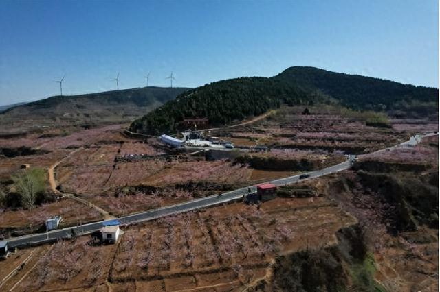 千年文脉与万亩桃海，邂逅肥城仪阳的古韵与现代