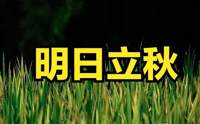 明日立秋，提醒大家：无论多忙，1不穿、2不睡、3不喝、4要吃！