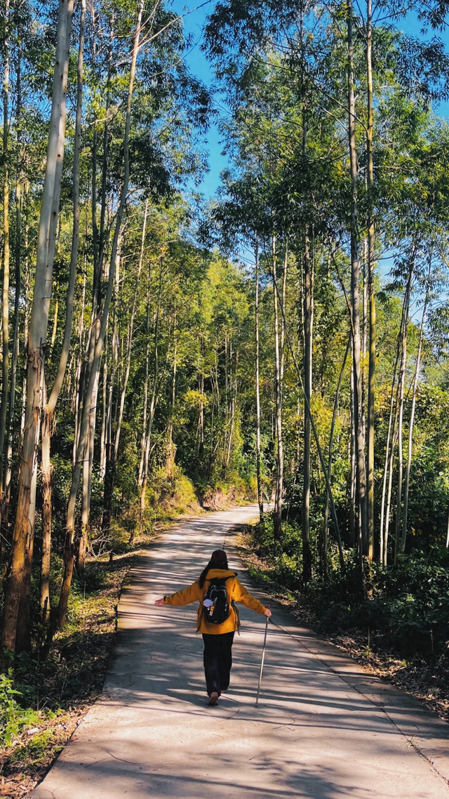 成都南门出发1h || 10km小众野生路线探个险，冷门到包场！