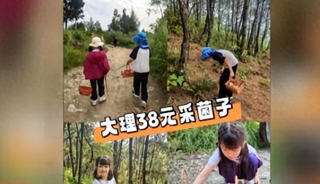 “采菌游”的野趣，不该落在规则之外