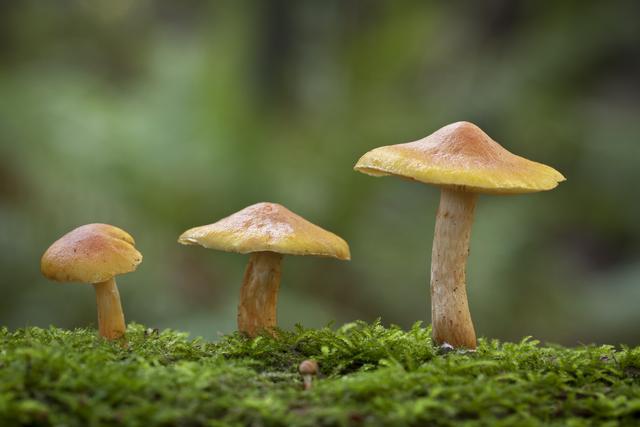 《算力不是万能的，但没算力是万万不能的》