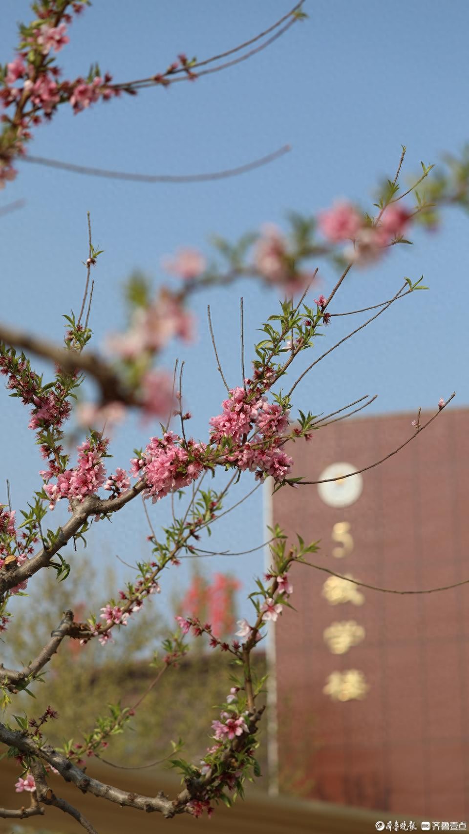 曲浩博山东华宇工学院摄影作品_寻找山东最美大学摄影大赛_山东华宇工学院官网