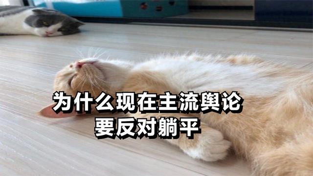 为什么现在主流舆论要反对躺平