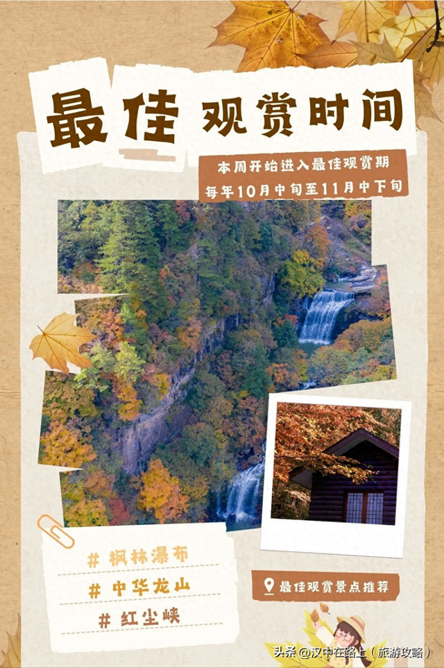 汉中这处红叶已进入最佳观赏期