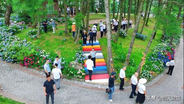 嘉宾们力赞！清凉与精致都 “藏” 在民宿里