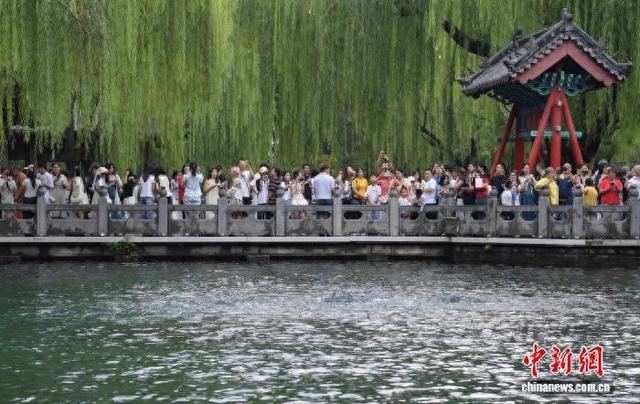 山东济南：趵突泉“水涌若轮”美景重现