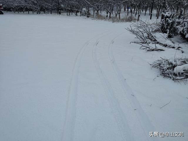 雪后杂感