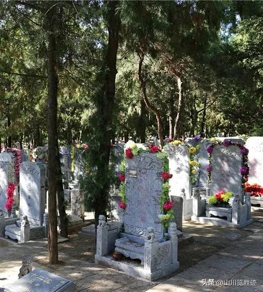 杨老的墓地选在八宝山,其实早有预兆。