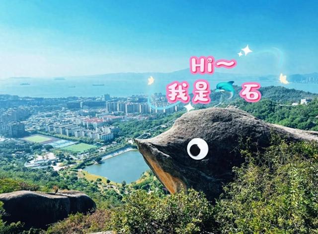 厦门植物园海豚石，山顶一块岩石，因生动的外观而备受登山者喜爱