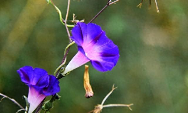 60岁阿姨直言不讳：两性关系中，女人最渴望的不是钱，而是这4样