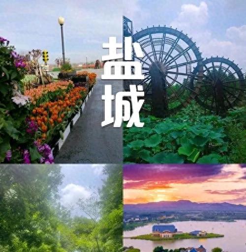 江苏盐城旅游攻略：探索“海上明珠”的魅力之旅