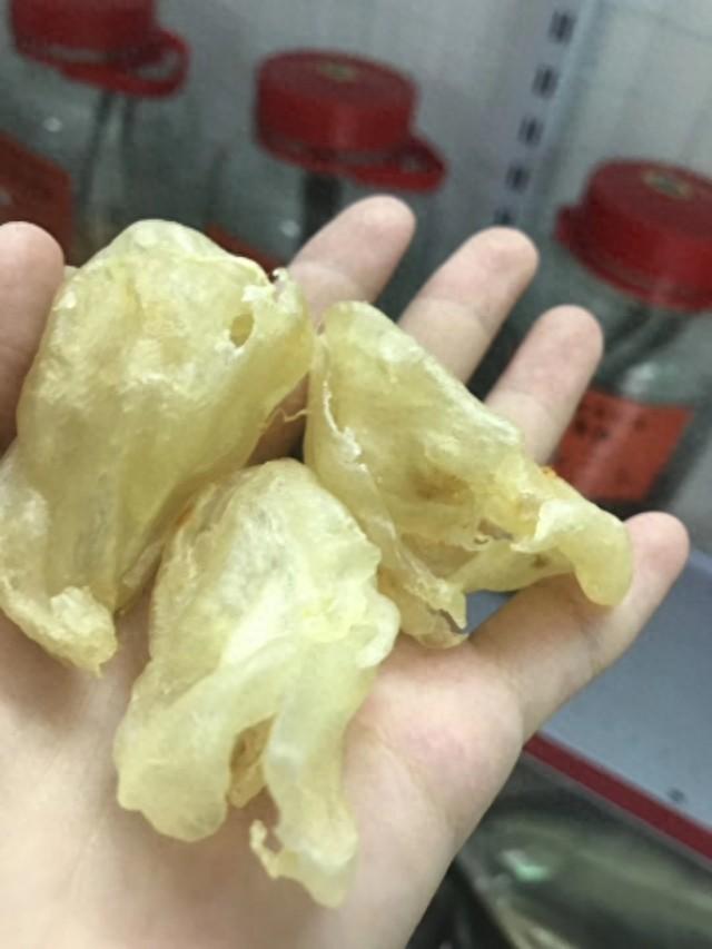 石斑鱼胶的功效和作用 石斑鱼胶的功效和作用及禁忌