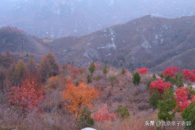 北京周末自驾寻秋！房涿涞小众宝藏路线