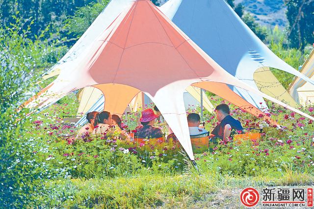 高温“催热”清凉游