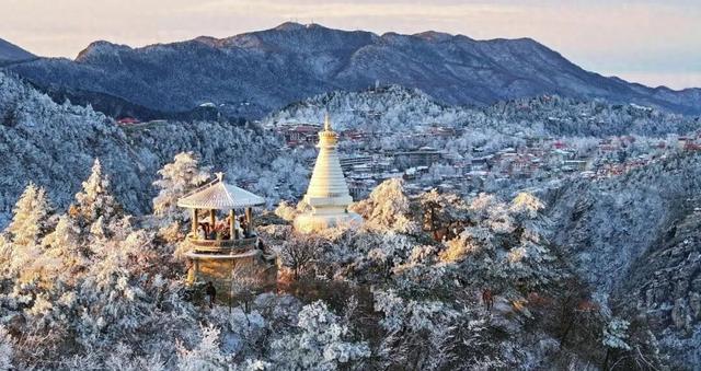 何为“江南小汤圆”？