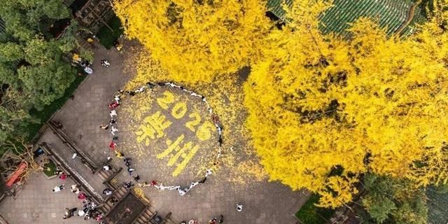 从文化IP到产业生态 成都崇州罨画池深化“文产融合”模式