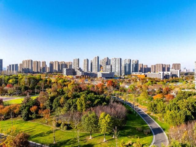 建邺这个森林公园，赏秋正当时