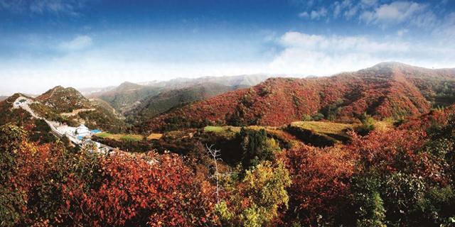 重阳登高赏红叶！这座山被河南交通广播听众的热情点燃！