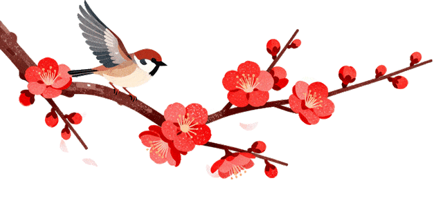 无锡人的顺意生活，藏在慢与淡里