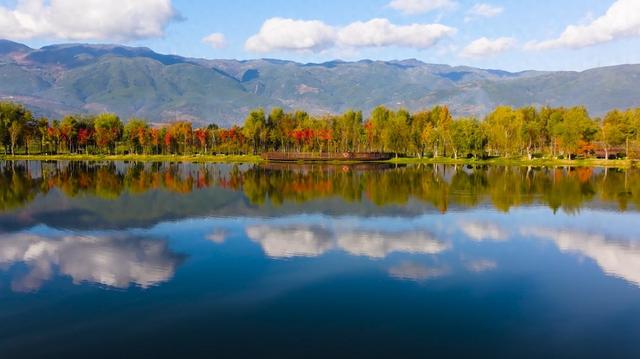 栈道穿红杉，候鸟掠湖面！大理这片湿地美成初冬油画