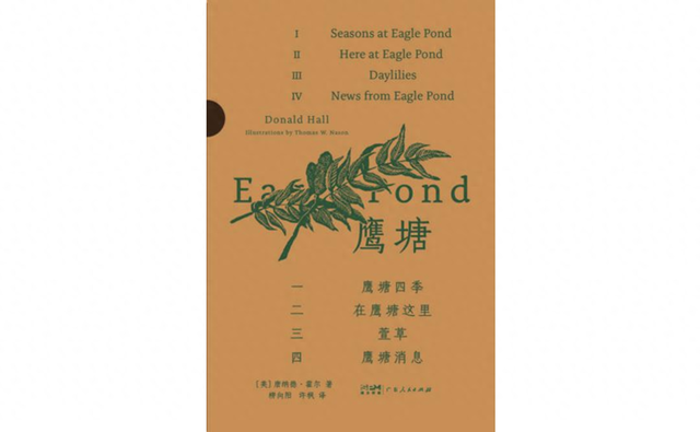 唯美找东西游戏下载（鹰塘农场上的黄金怪人）