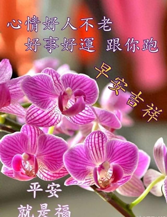 表达人走茶凉的句子（若）