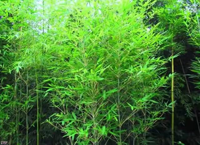 危险岗位如何让科技帮忙