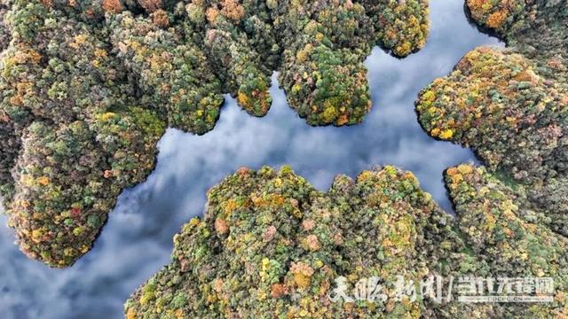 遵义冬季文旅四件套】在绥阳邂逅惬意的冬日时光